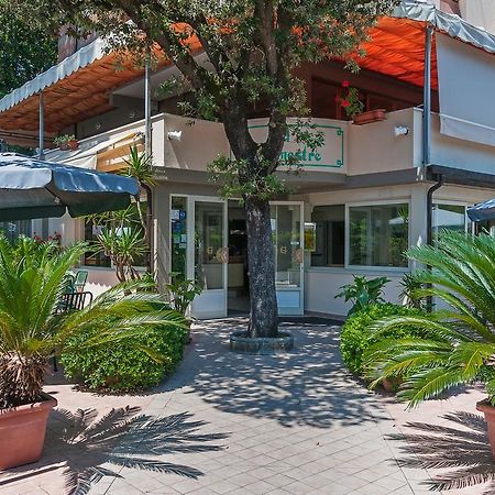 Hotel Le Ginestre Lido di Camaiore Zewnętrze zdjęcie